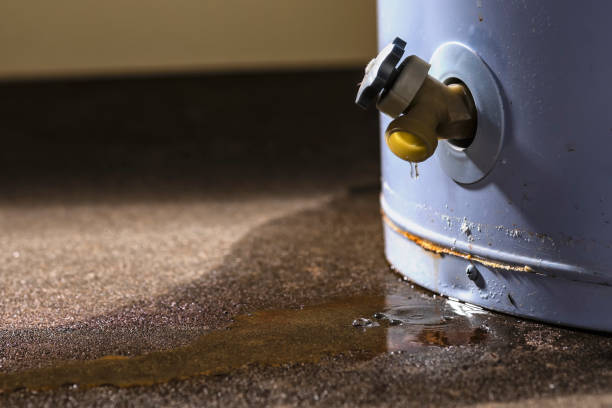 Best Water damage restoration near me  in Lake Lakengren, OH