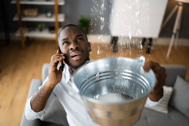 Carpet water damage restoration in Lake Lakengren, OH