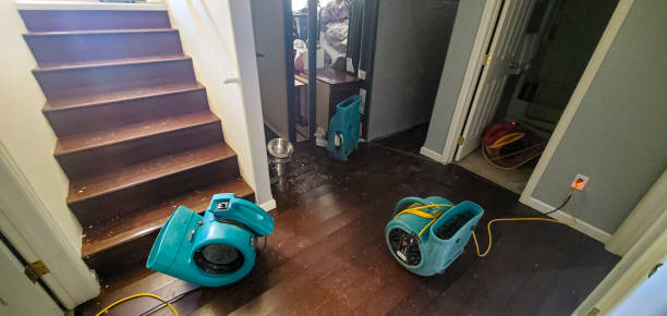 Best Local water damage restoration  in Lake Lakengren, OH