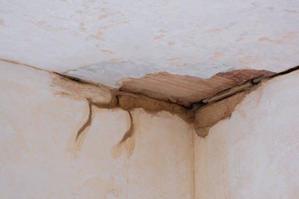 Best Water damage mitigation services  in Lake Lakengren, OH
