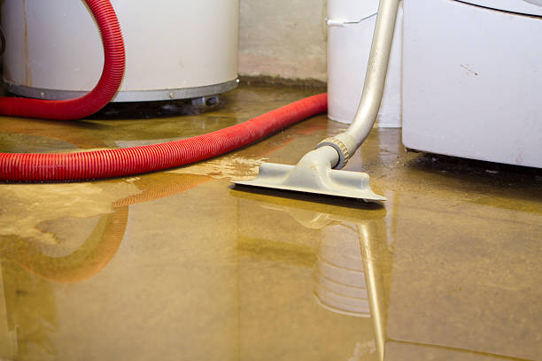 Best Carpet water damage restoration  in Lake Lakengren, OH