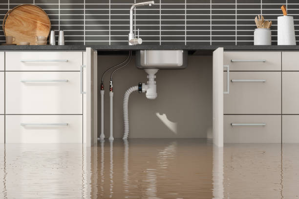Best Ceiling water damage repair  in Lake Lakengren, OH