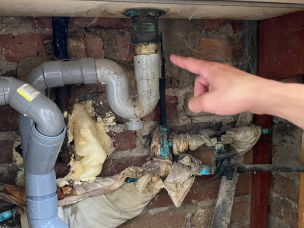 Best Water damage repair service  in Lake Lakengren, OH