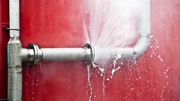 Best Mold removal after water damage  in Lake Lakengren, OH