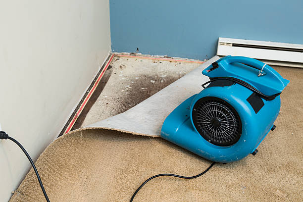 Best Flood restoration services  in Lake Lakengren, OH